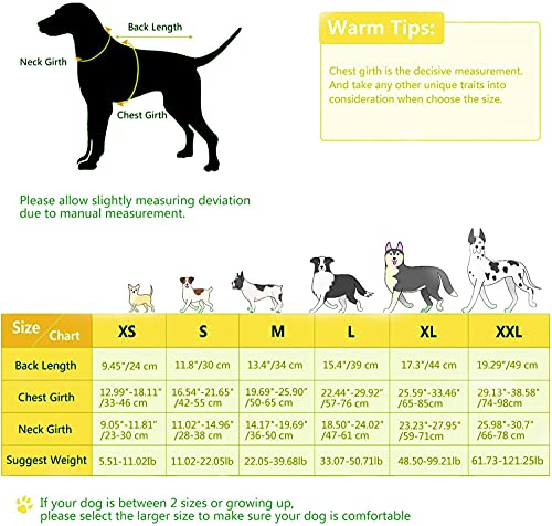 ASENKU Chaleco salvavidas para perros pequeños