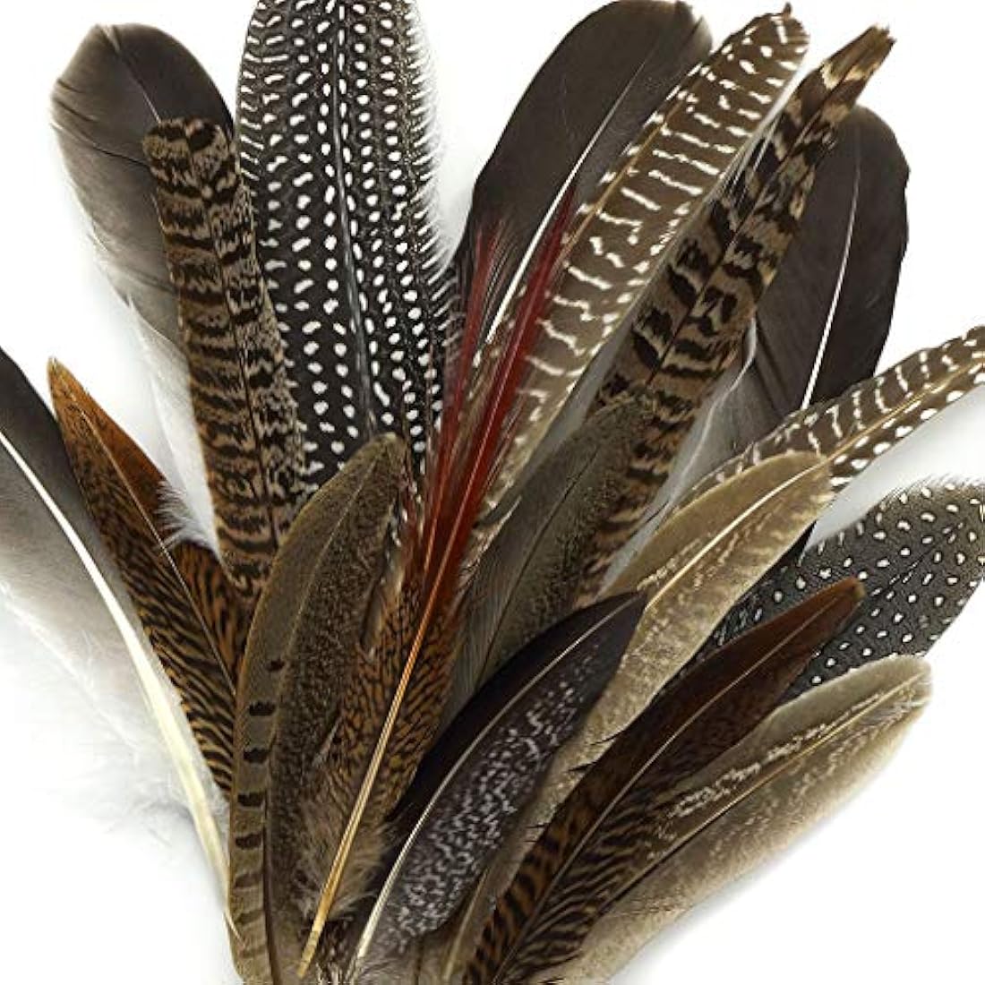 Plumas de cobayas naturales y faisán surtidas Cola de faisán