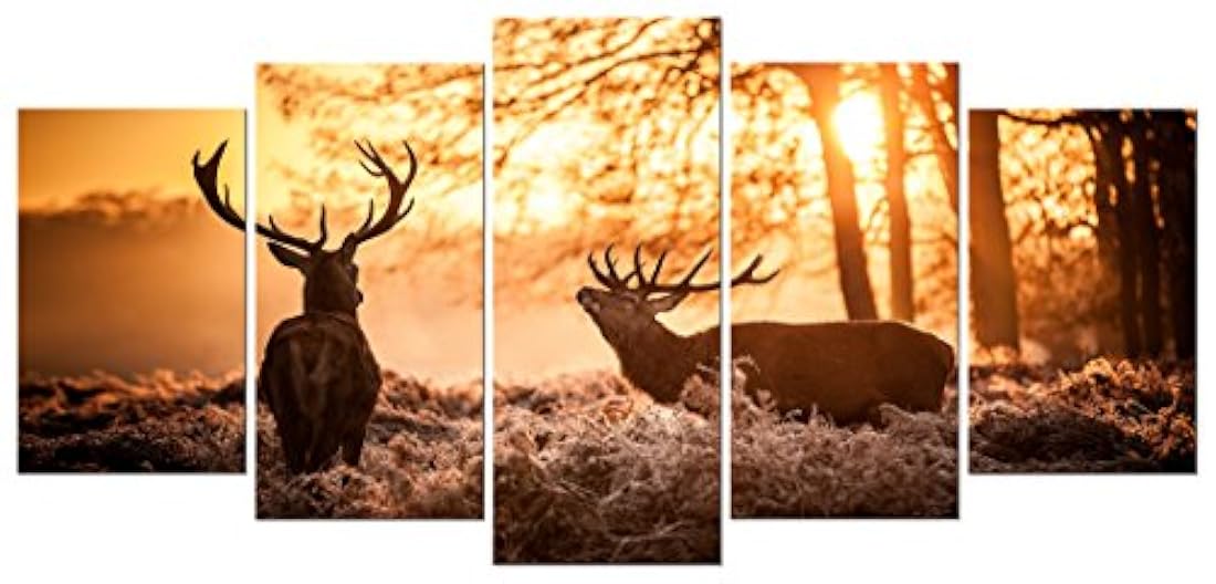 Pyradecor Nature - Lienzo decorativo con marco y estirado