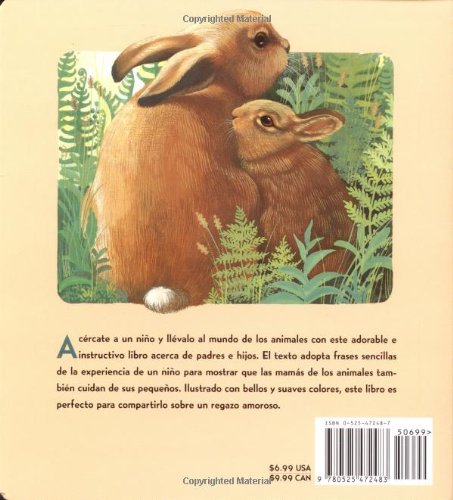 Quiero a mi Mama libro