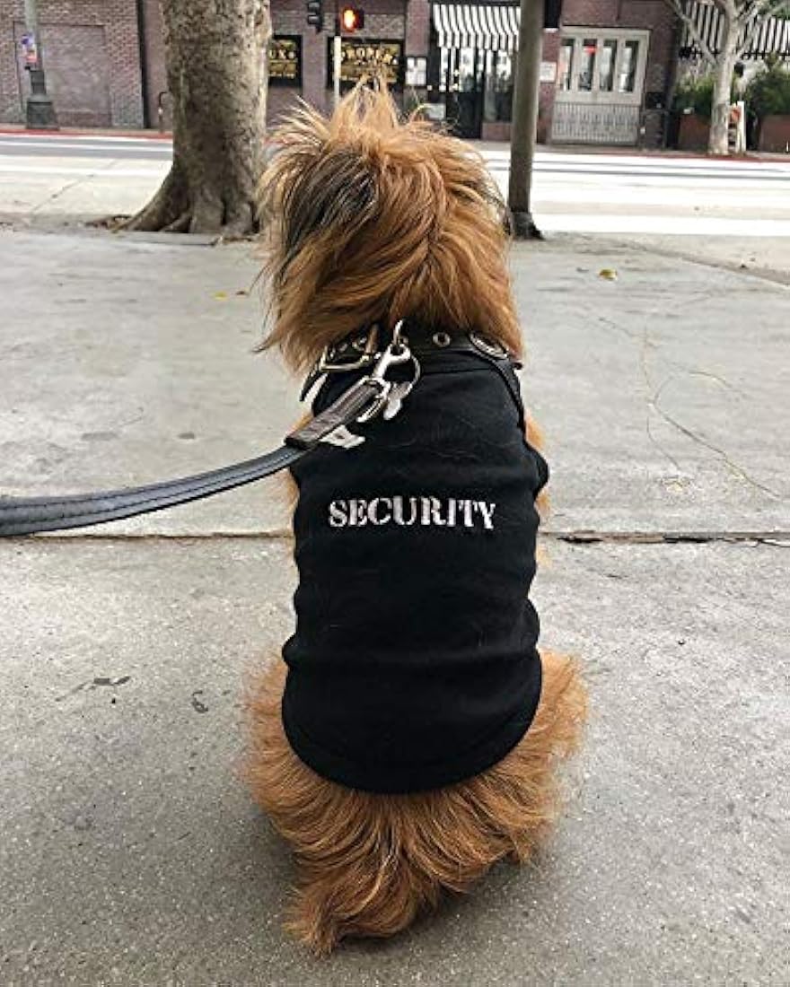 Camisetas de seguridad para perros