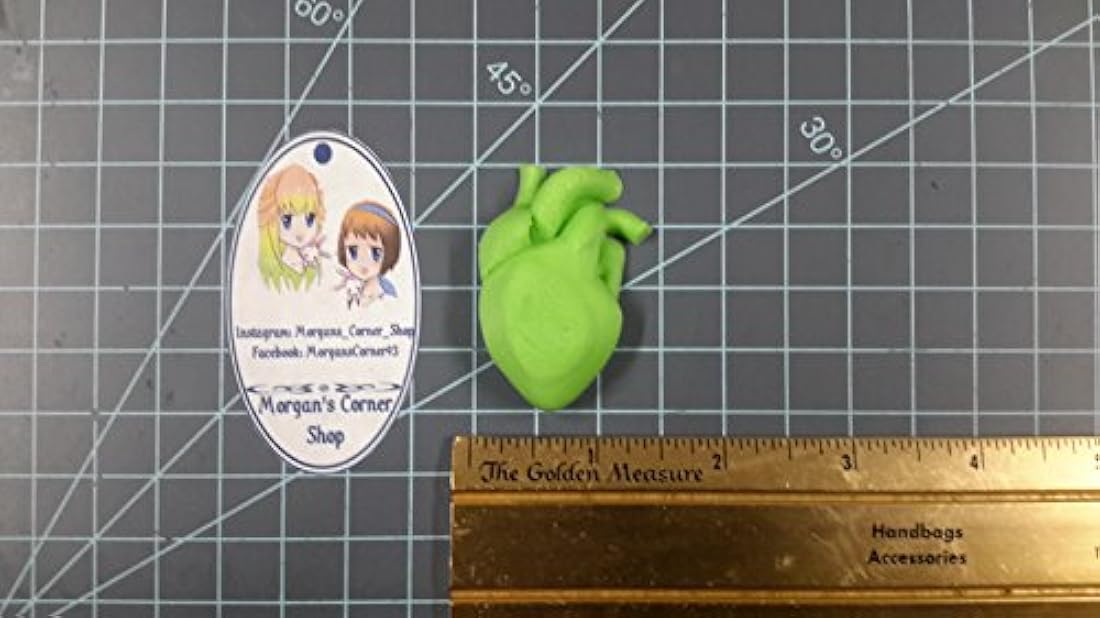 Corazón humano (Tamaño Mediano) Resina Molde de plástico, moho, moho de corazón, la arcilla del moho, jabón moho, de cera, anatomía del moho, moho humanos, Bomba de Baño