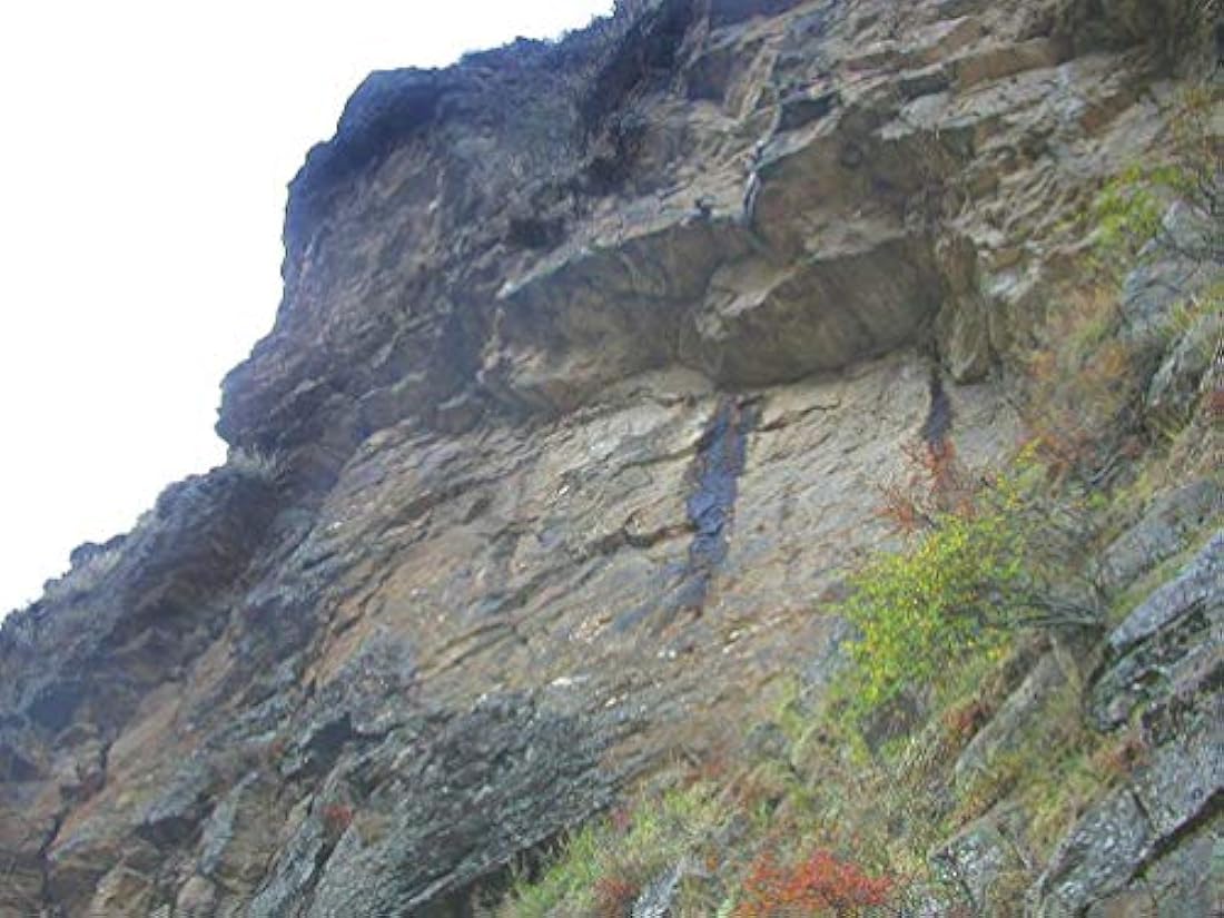 Suplemento Hierbas shilajit 60 Cápsulas