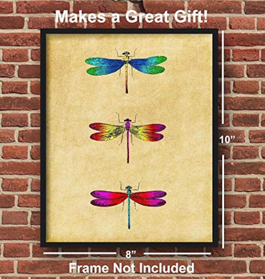 Decoraciones de habitaciones únicas