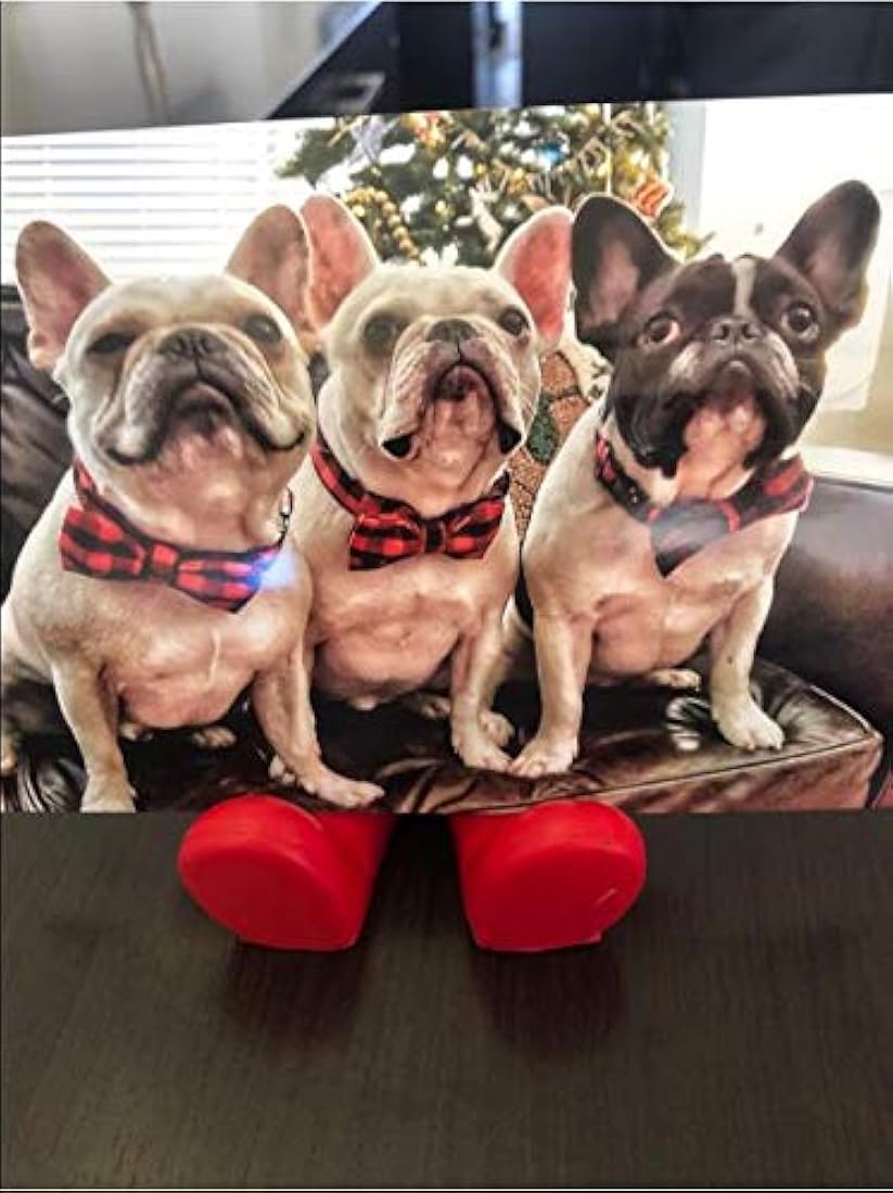 Corbatín para mascotas, perros o gatos