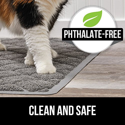 trampas de arena de la caja y los gatos