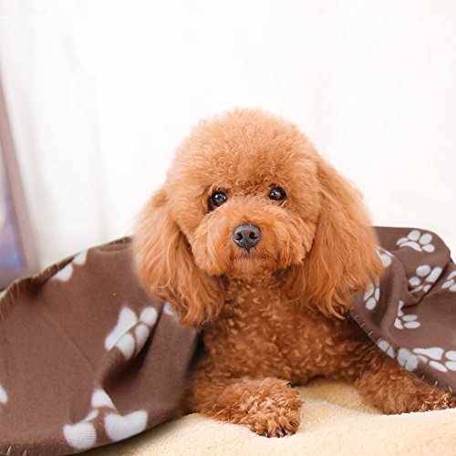 Funda de cama para perros y gatos, 6 paquetes