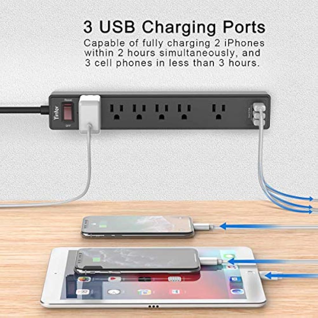 Estabilizadores, Tira de alimentación, protector