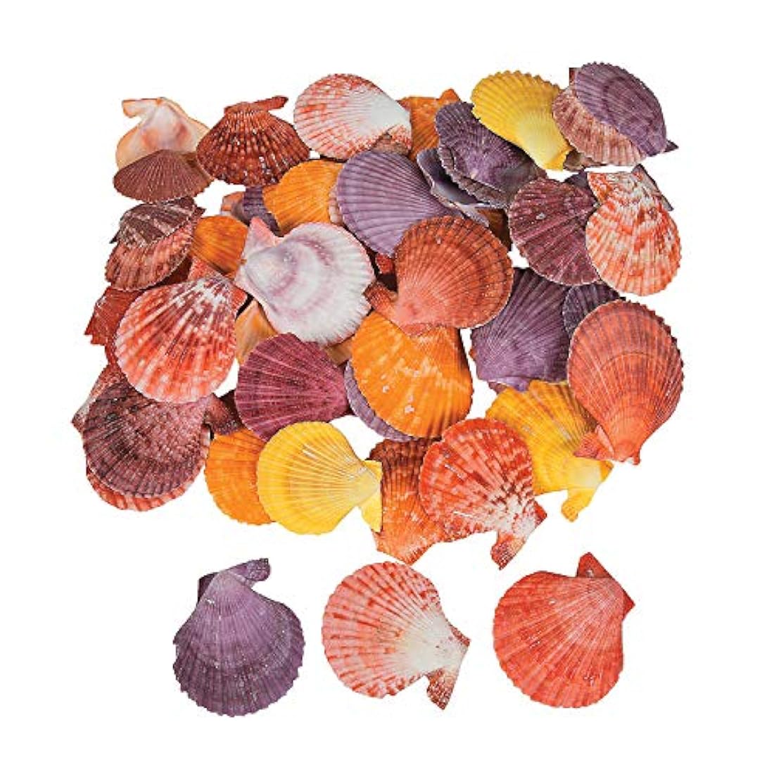 Artesanía para niños Fun Express