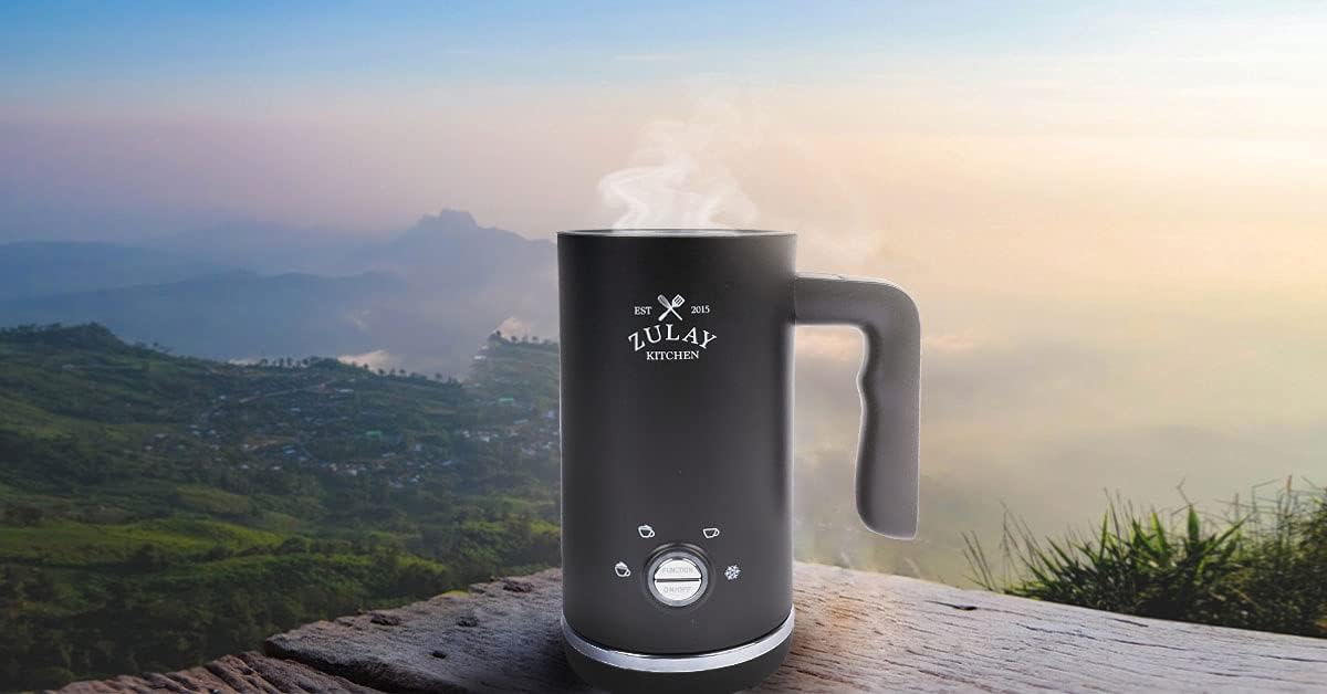 Vaporizador de leche 4 en 1 eléctrico de acero inoxidable