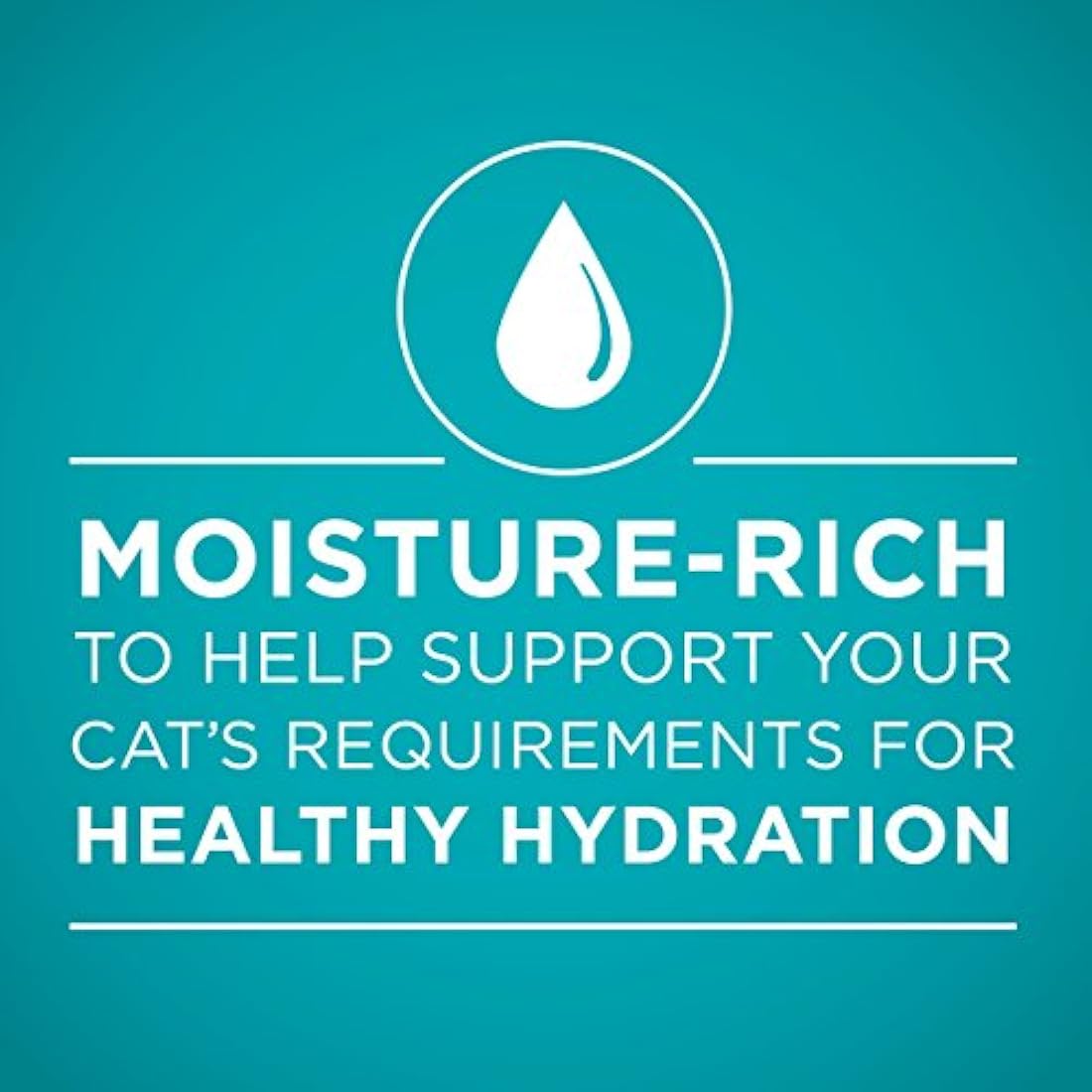 Purina ONE húmeda para gatos - (24) latas de 3 onzas