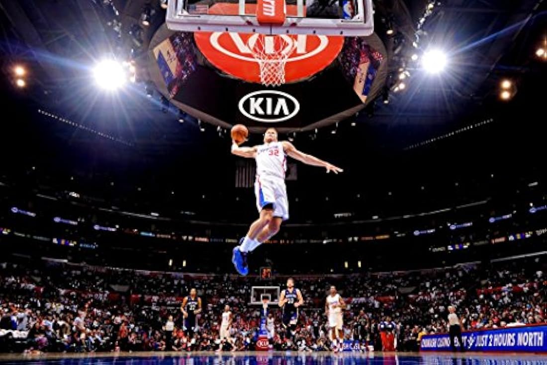 Póster de seda Blake Griffin