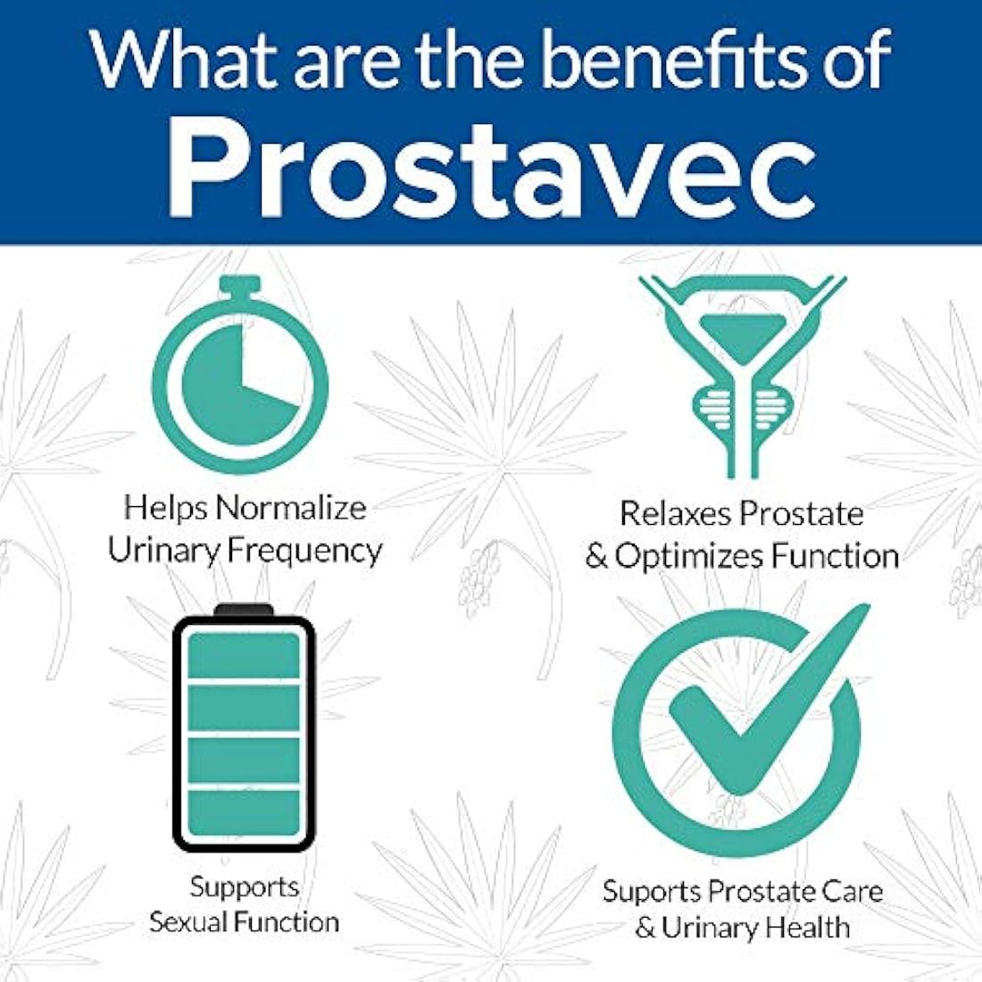 Suplemento de apoyo para la próstata Prostavec, en fórmula