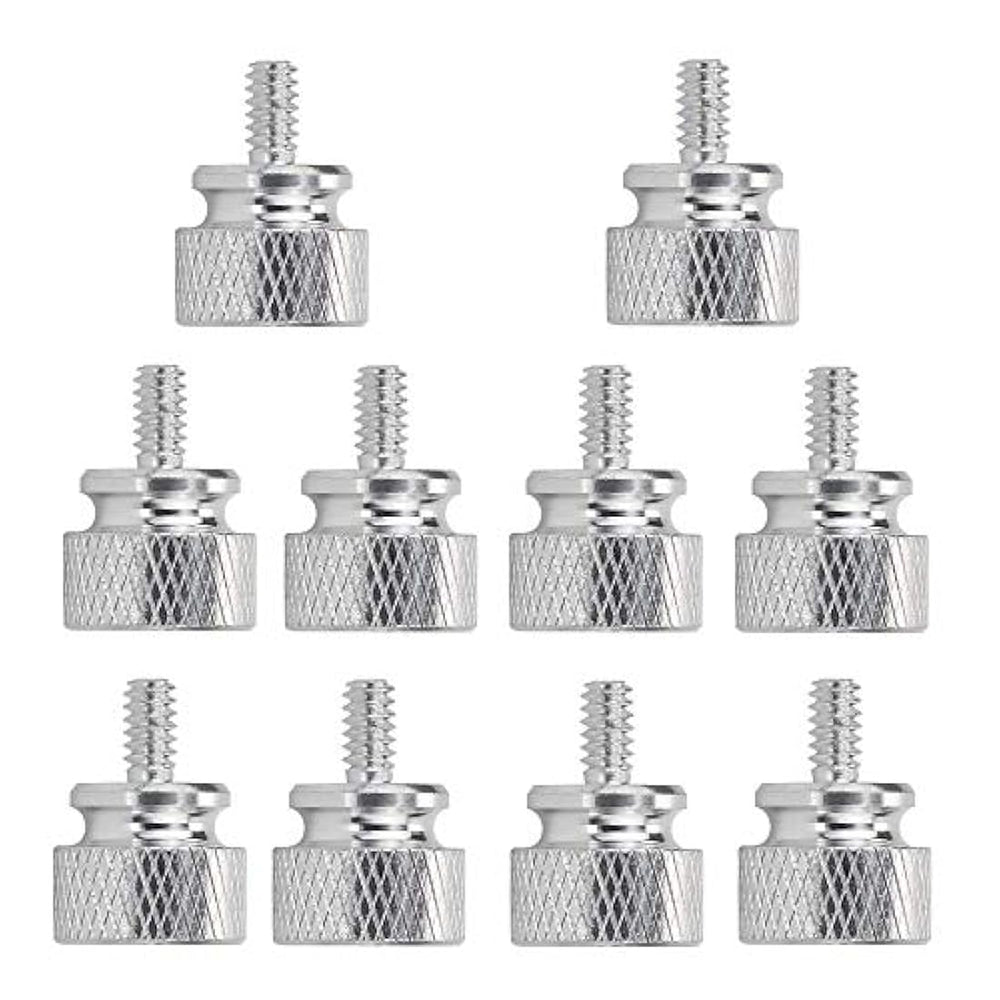 Tornillos para ordenador (10 unidades), Plateado