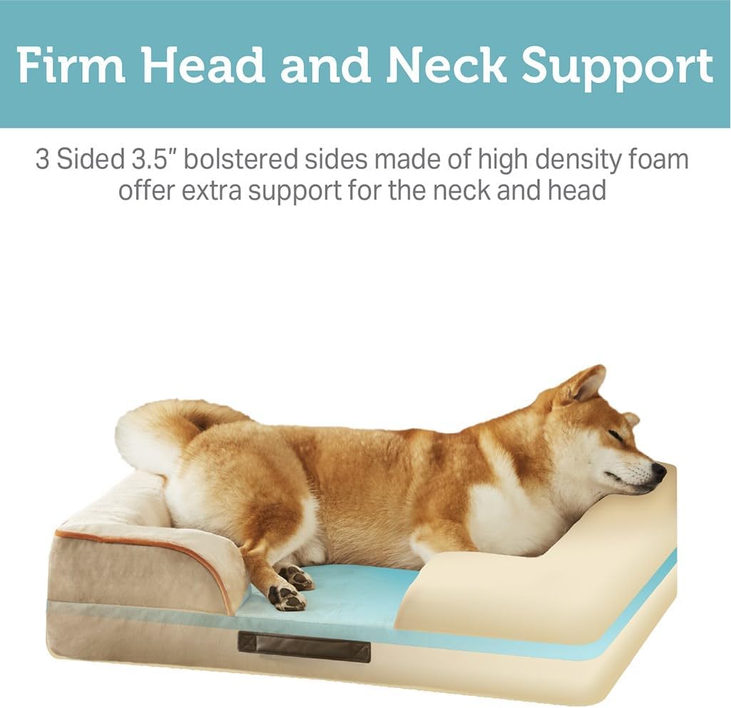 Cama ortopédica para perros Friends Forever, espuma viscoelástica, 35x25x6.5
