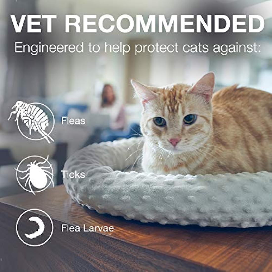 Bayer Seresto - Collar para gato (pulgas y garrapatas)