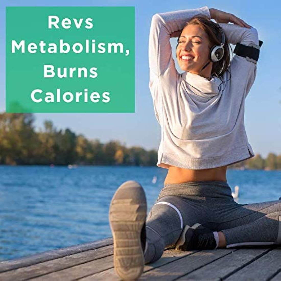 té verde en polvo USDA orgánico japonés Matcha