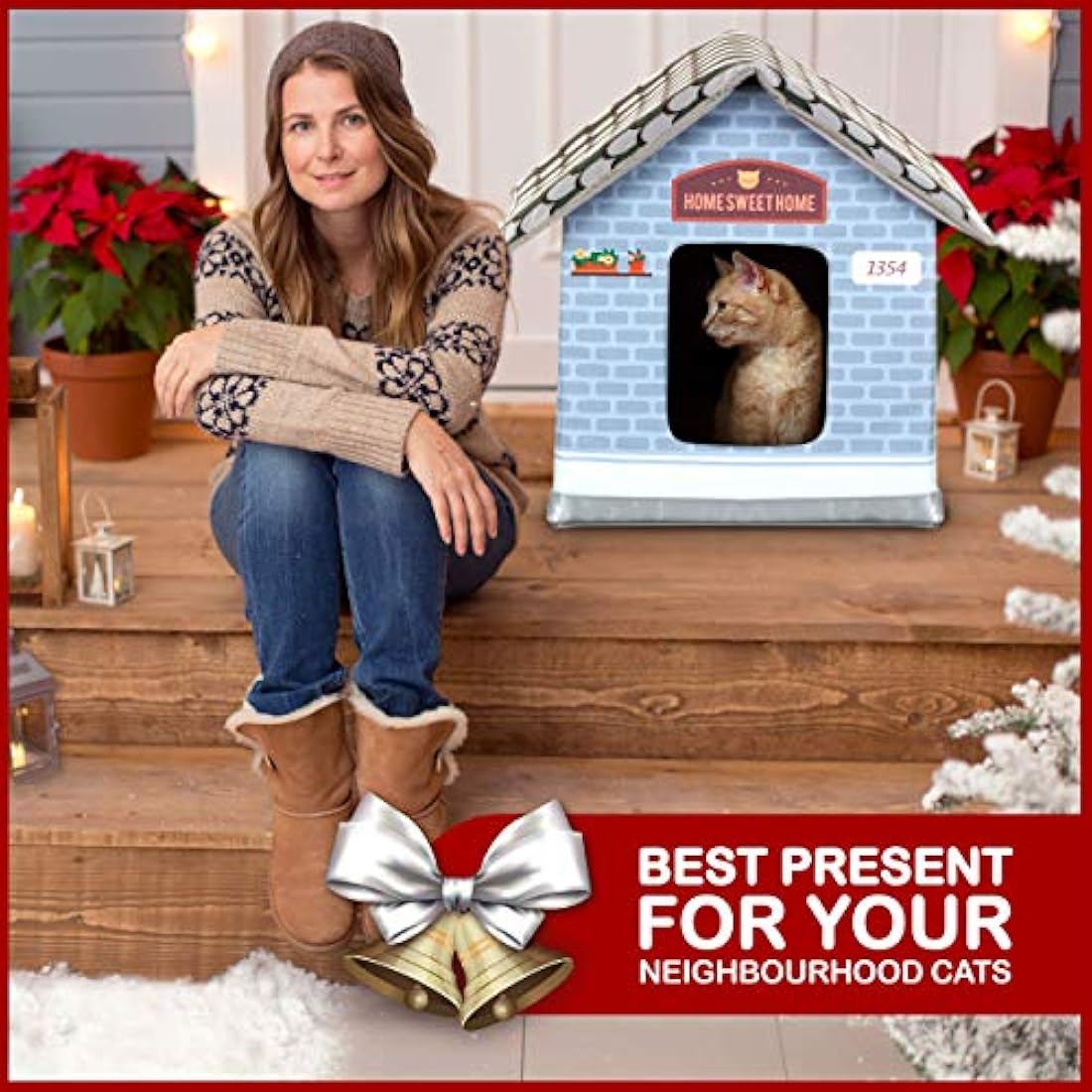 Casas climatizada para gatos al aire libre en invierno