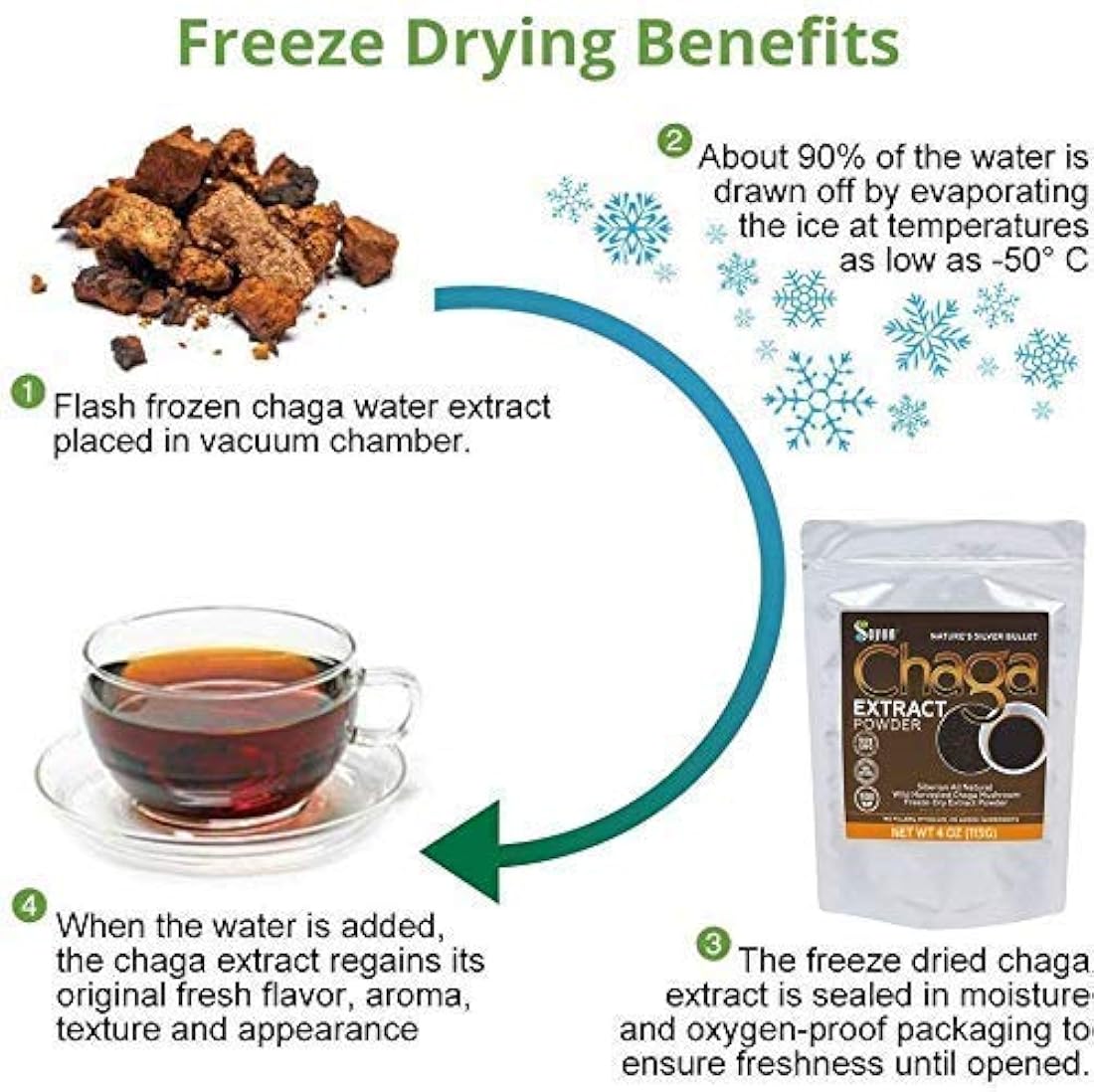 Polvo extracto hongo chaga siberiano.