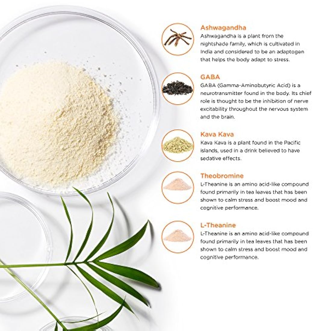 LifeSeasons - Anxie-T - Suplemento de apoyo antiansiedad