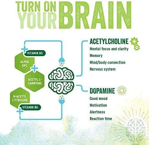 Suplemento nootrópico premium Apoya naturalmente la energía