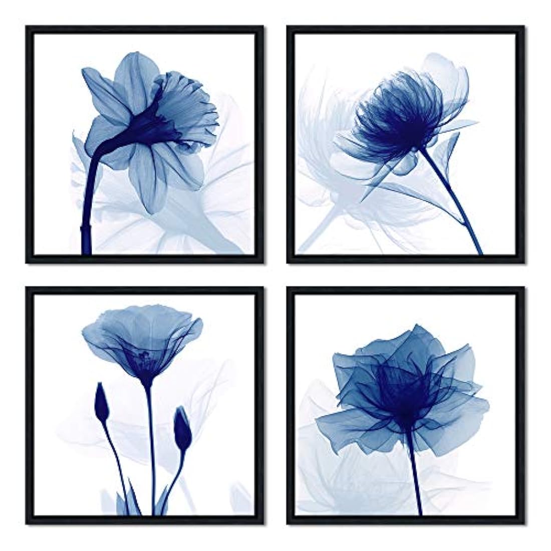 Pyradecor Negro Enmarcado Azul Flor parpadeante Pinturas