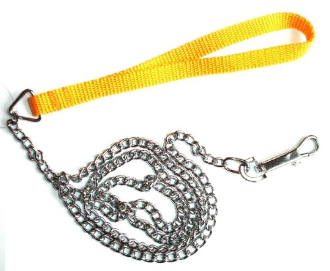 cuerda de entrenamiento para mascota