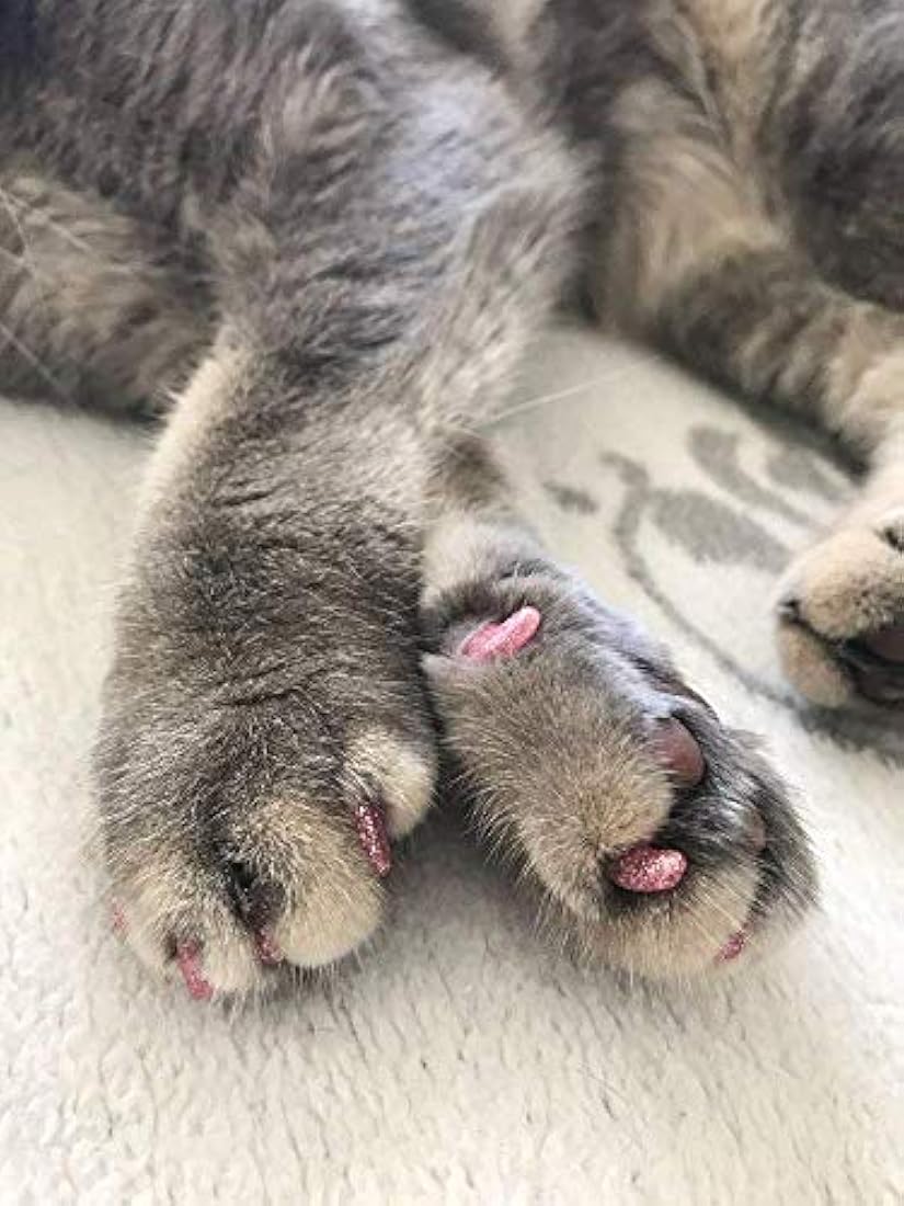 Tapones para uñas de gato para mascotas