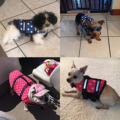 HAOCOO - Chaleco salvavidas para perro, chaleco salvavidas, traje de baño de seguridad con rayas reflectantes/cinturón ajustable para perro.