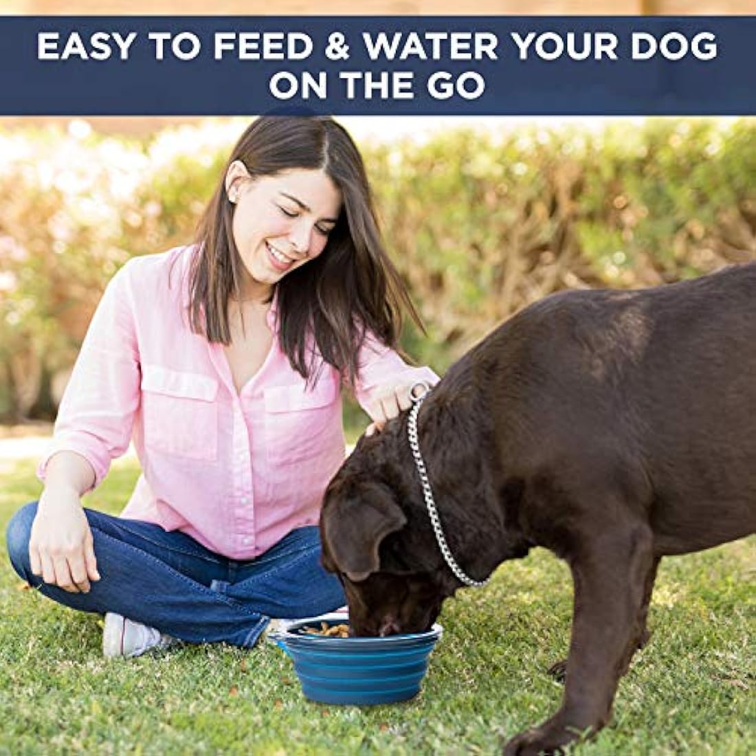 Cuenco grande plegable para perros grandes,