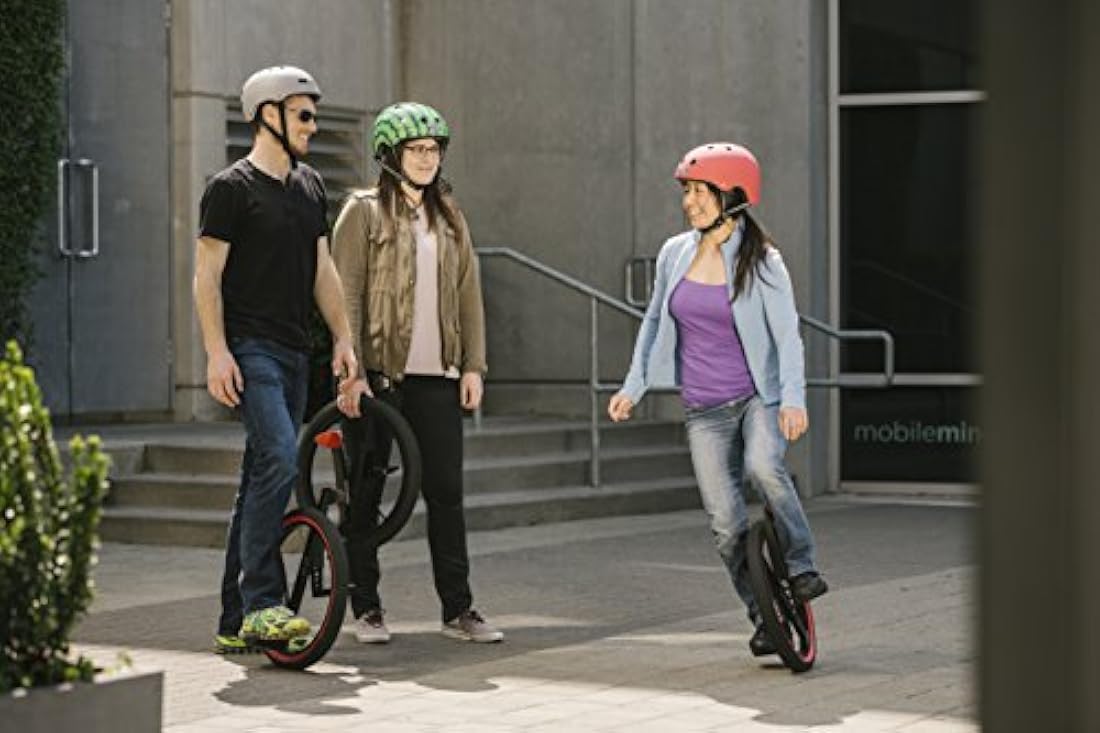 Lunicycle Inventista