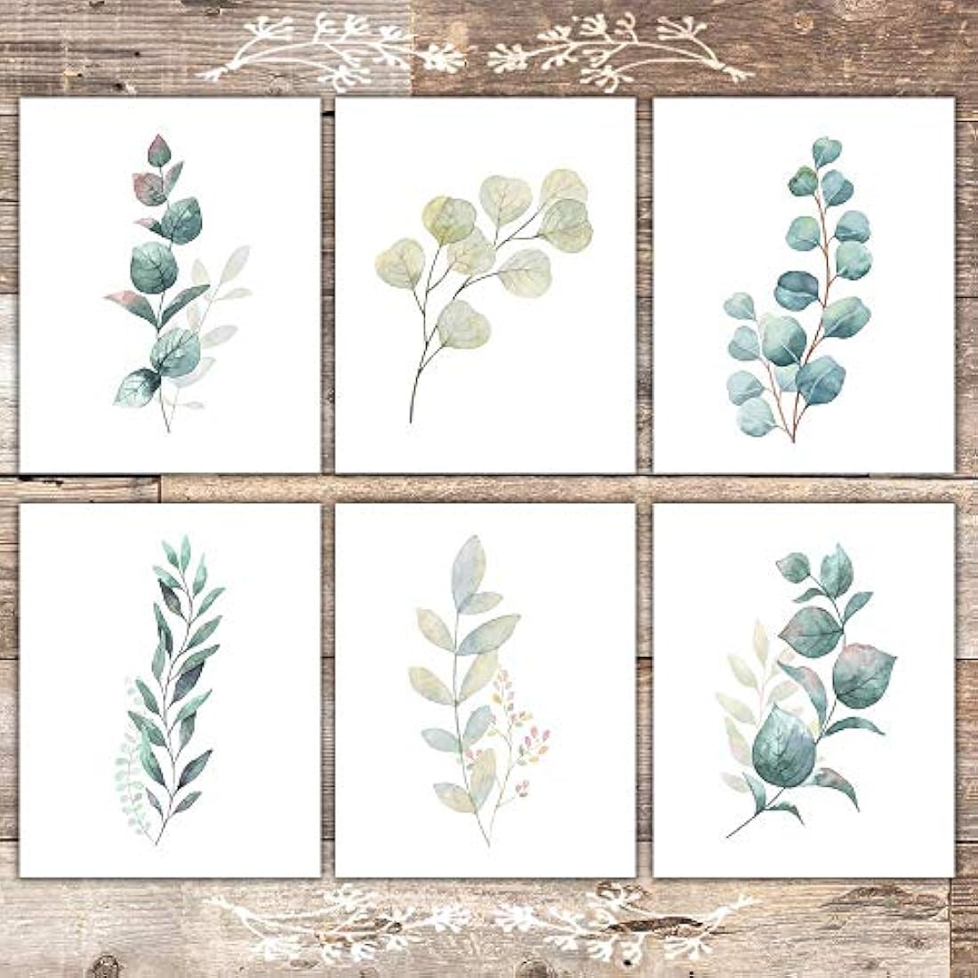 Impresiones botánicas - Hojas de eucalipto - (Juego de 6)