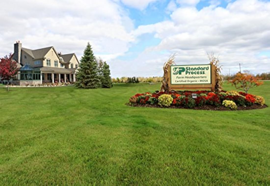 Proceso Estándar - Cataplex C - 90 Tabletas