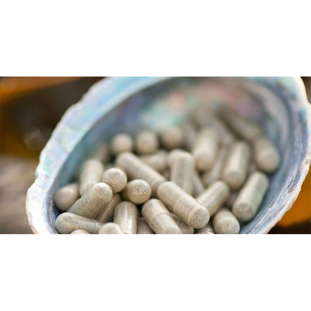 Suplemento Extracto de ostra Energize concentrado 500 mg 60u