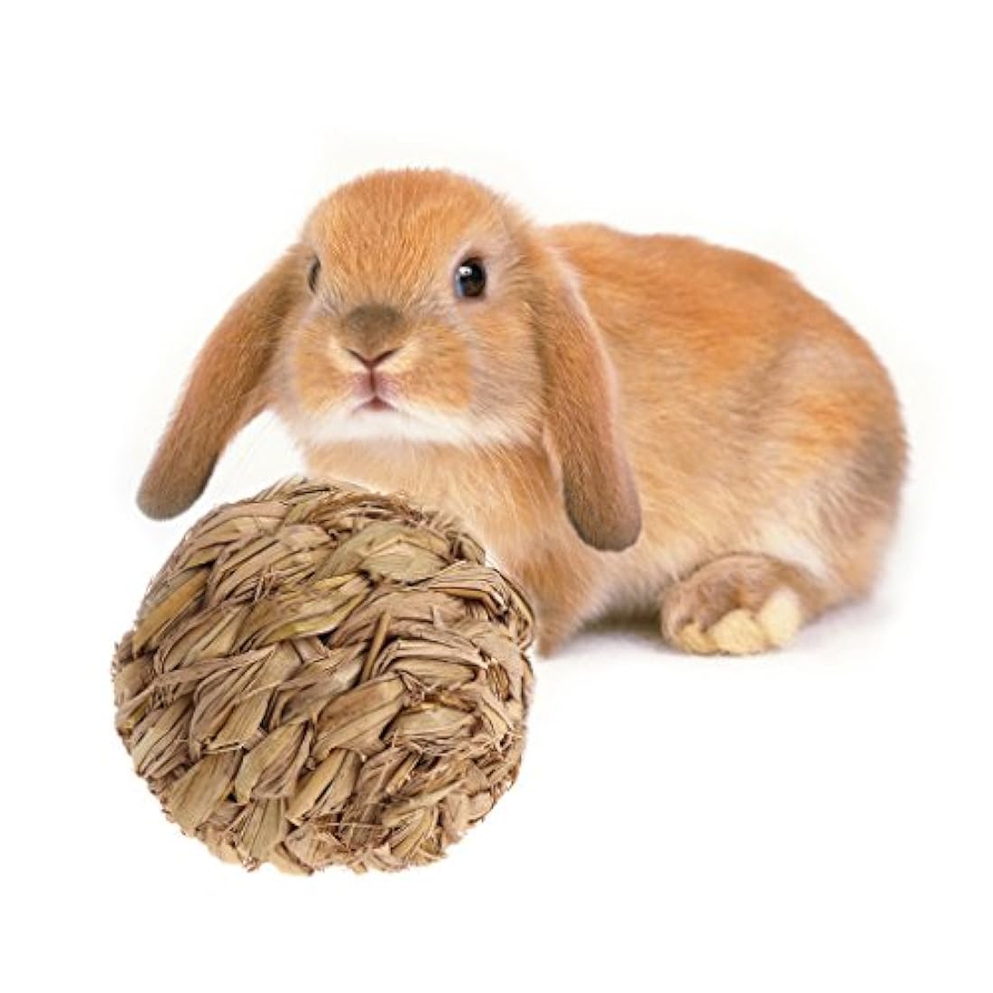 bola con Bell para conejo Hamster Guinea Pig chinchillas