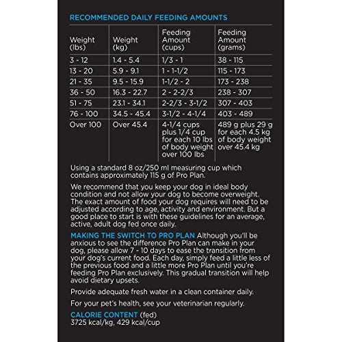 Alimento para perros adultos