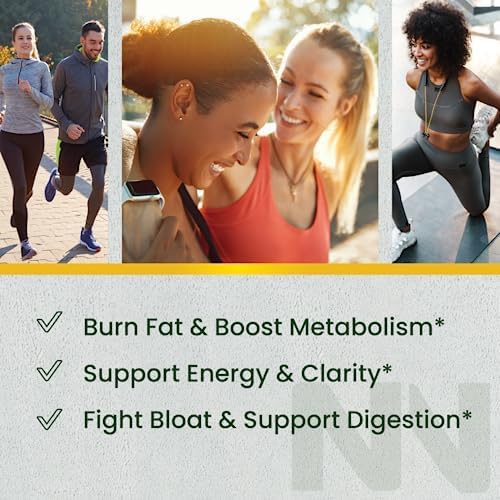 Quemadoras de grasa de té verde para perder peso