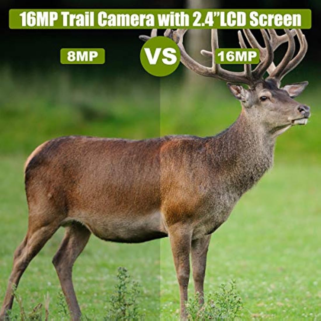 BlazeVideo 16 MP HD sin brillo infrarrojo Flash Scouting