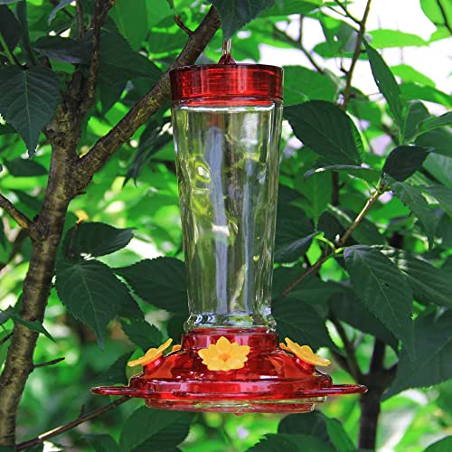 Joliyoou Comedero de colibríes, 10 veces con flores líquidas para exteriores (flor roja y amarilla)