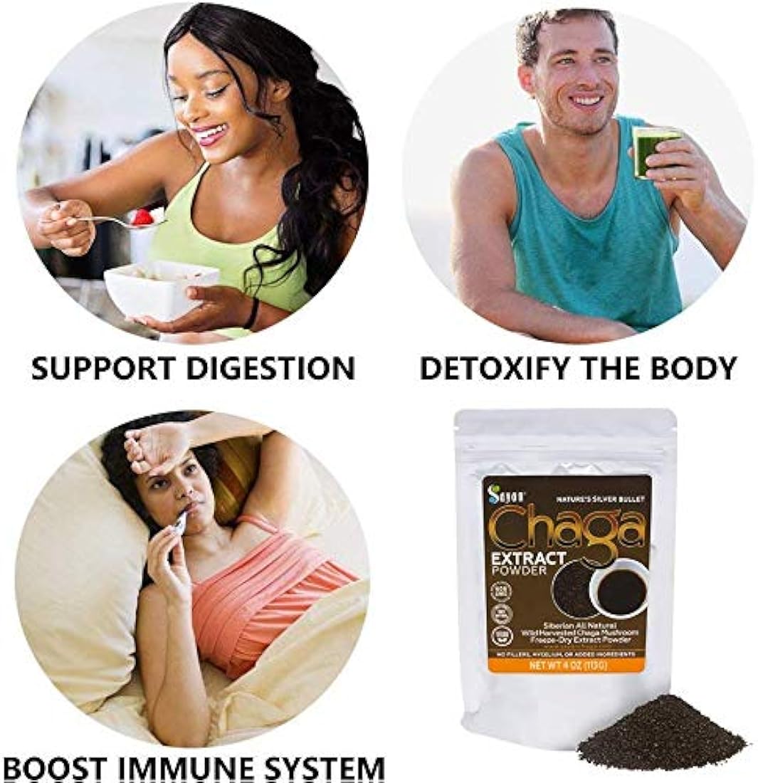 Polvo extracto hongo chaga siberiano.