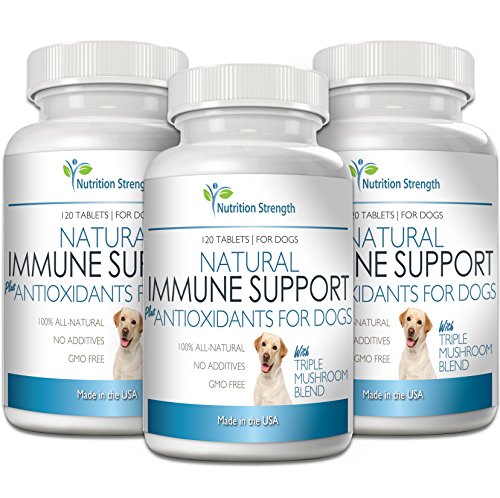 Support para perros más antioxidante 120 tabletas masticable