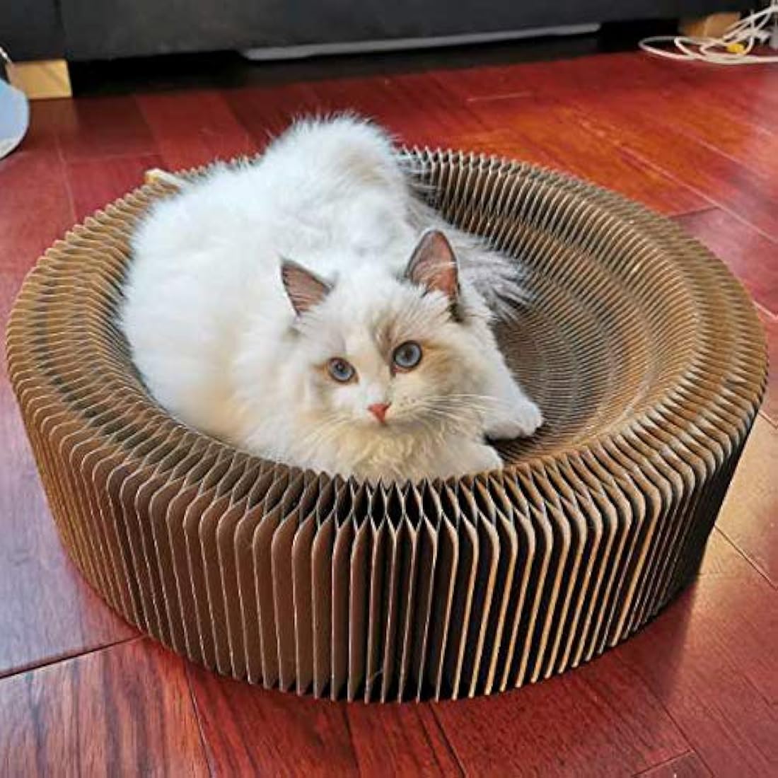 Cama redonda plegable de cartón corrugado para gatos