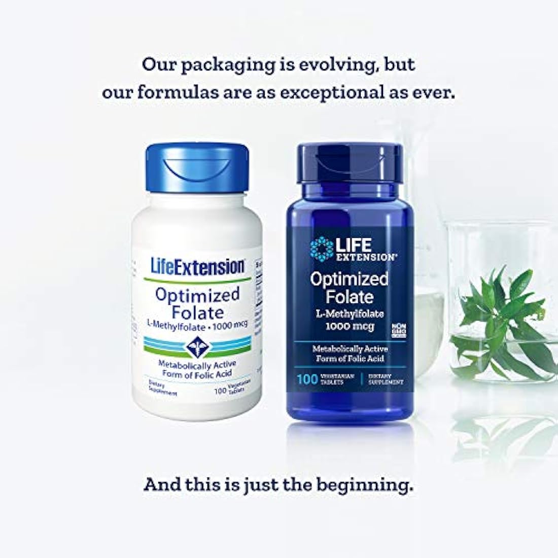 Life Extension Optimized Folato