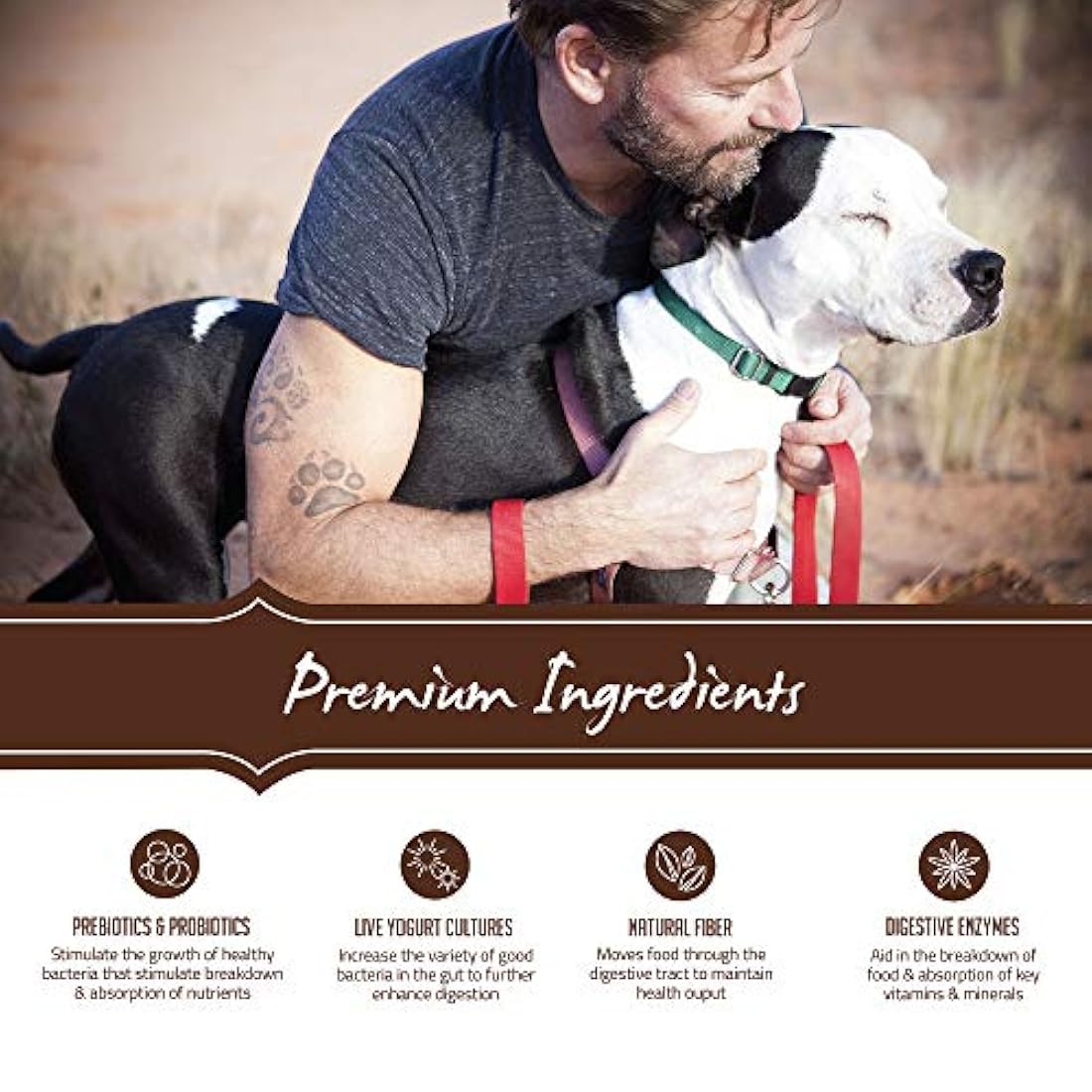 Holistic Select - Alimento para perro seco natural grande