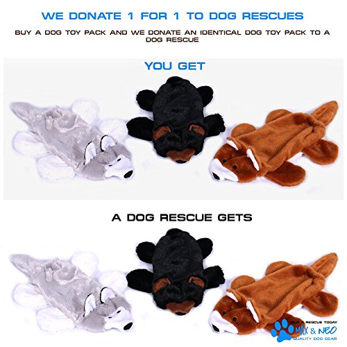 Max and Neo Fox, oso y lobo botella de agua para perros