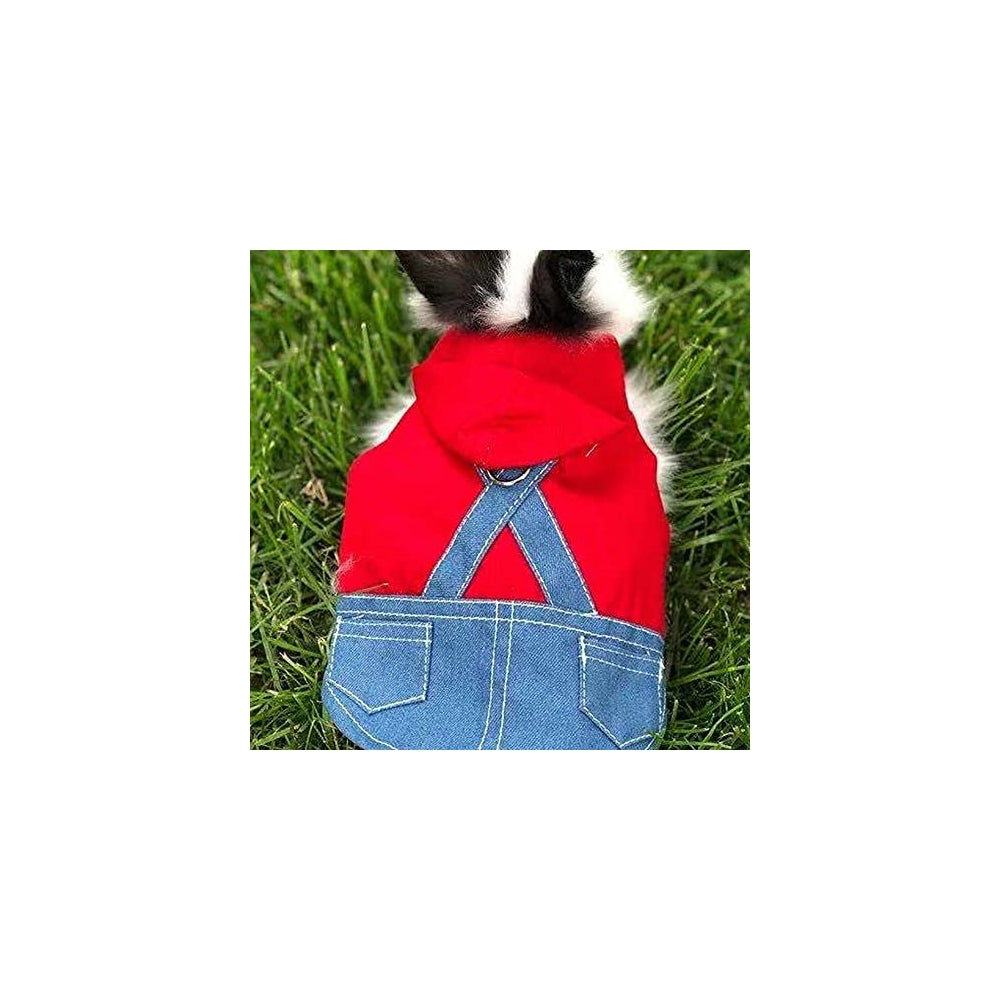 Disfraces de conejo para mascotas pequeñas talla S