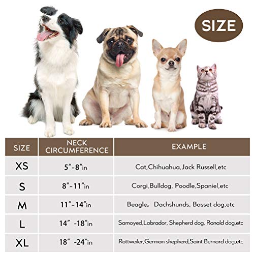 COLLAR para mascotas para después de la cirugía, protector y suave para la recuperación, cono grande para perros para evitar tocar puntos, heridas y erupciones