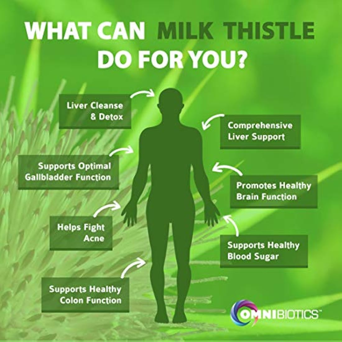 OmniBiotics - Cápsulas de cardo mariano orgánico 0.05oz