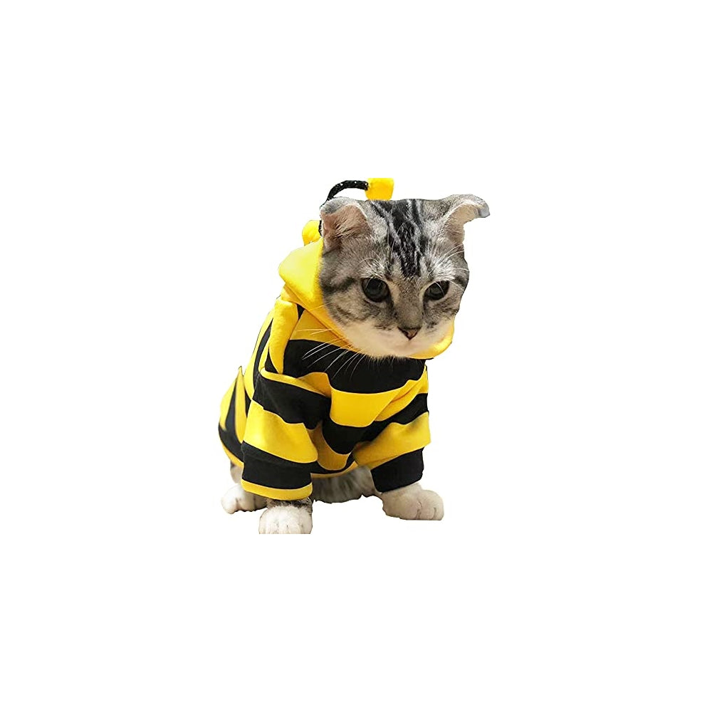 Disfraces de abeja para mascotas talla XS