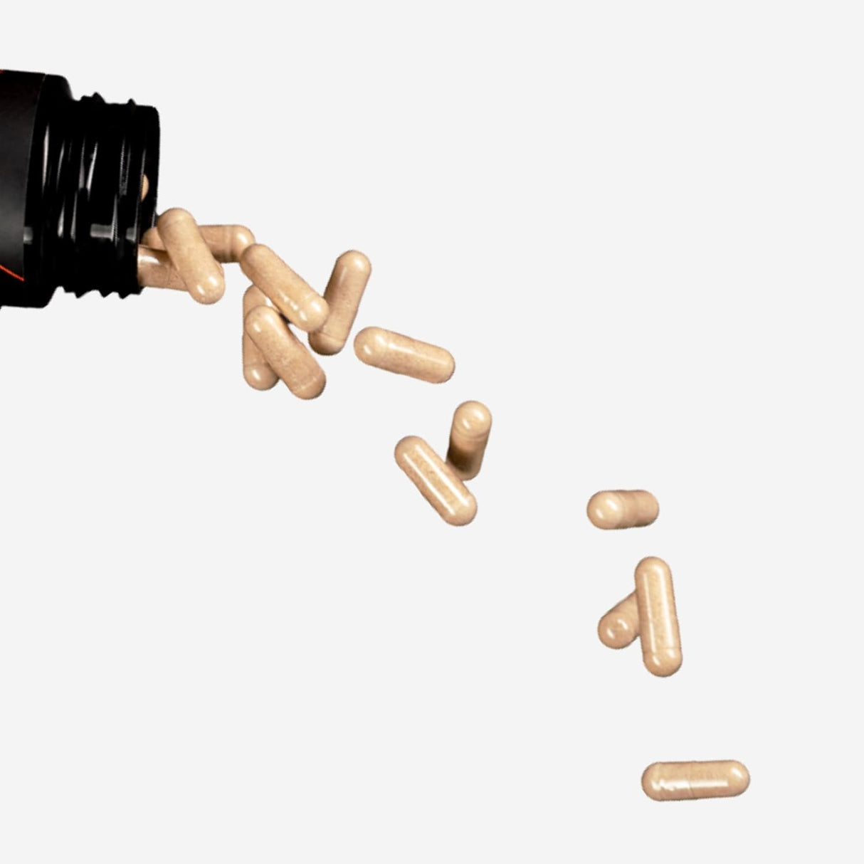 Suplemento Nootrópico Premium | Enfoque, Ánimo, Energía y Memoria